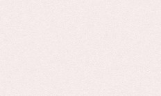 巧手撷春意  “莓”好绽芳华