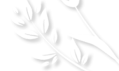 春风献礼 | 这份三八妇女节专属福利，送给每一个闪闪发光的「她」