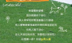国庆放假指南｜宅家、轰趴、出门，你是哪一派？