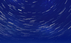 满天星2025丨商务小田的投标故事