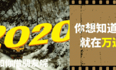 六月最全片单来咯，神仙打架