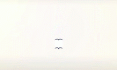 第三期“新物种”滇西野外地标科考研修营在昆明城市学院开营