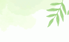 游戏故事 | “好玩的小车”国资中心幼儿园（天璞园）