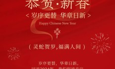 灵蛇贺岁 福满人间