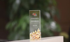 昆仑万维荣获“2024年度影响力企业”等9项大奖