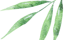 保物清风│廉洁过节·端午