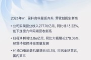 一图读懂国轩高科2026半年报