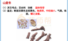 山麦冬、知母、山药、射干、干姜、莪术-中药鉴定图解 | 药师帮-中药学习