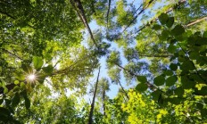 跟着万达酒店去旅行！去长白山，看看你那素未谋面的精神故乡