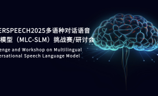 破解11种语言混杂识别难题！镁佳语音技术斩获全球冠军