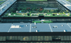 【AI+能源】第二期 | 大揭秘！朗新时序预测如何赋能售电？