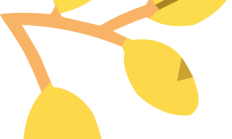 解锁BUFTer减脂公式： 餐厅好菜+智能体脂秤  =不瘦都难！