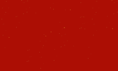 鼎龙集团2024年终总结表彰会暨2025新春联欢会圆满举办