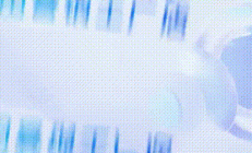 视听盛宴精彩纷呈 欧曼银河全球价值品鉴之旅首站成功收官