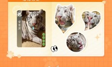 《三国杀：一将成名》闪闪节开启，猫猫八神将萌力来袭